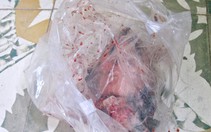 Vỡ nợ 47 tỉ đồng, một cán bộ cục thuế bỏ trốn