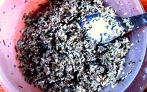 Bánh trứng kiến của người Tày