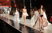 Lập biên bản tại chỗ, tạm dừng biểu diễn nếu vi phạm nghiêm trọng