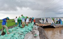 Mùa lũ 2014 miền Tây: Đồng Tháp gấp rút chống lũ