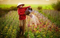 Cuốn sổ chi tiêu ngày tết của mẹ