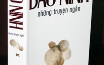 Bảo Ninh - những truyện ngắn