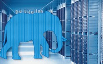 Dữ liệu lớn: Coi chừng nhầm rừng với cây