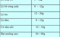 Phòng và điều trị sởi bằng thuốc y học cổ truyền