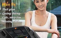 Máy chạy bộ điện Kingsport đã ra mắt phiên bản mới
