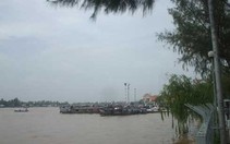 Cần Thơ liên kết với các tỉnh ứng phó biến đổi khí hậu