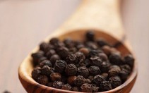 Giá hạt tiêu tăng, lãi khá cho người trồng