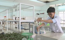 Tự chế nước hoa xanh xịt phòng
