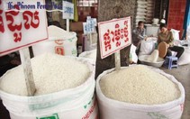 ​Danh hiệu gạo ngon nhất thế giới thuộc về Thái Lan và Campuchia