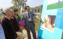 Dân "kể chuyện" di sản Thành nhà Hồ qua ảnh