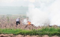 ​Giữ cho nông nghiệp tăng trưởng xanh