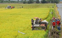 ​WB giúp Đồng bằng sông Cửu Long ứng phó biến đổi khí hậu
