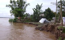 ​Đồng Tháp ưu tiên 7 dự án ứng phó biến đổi khí hậu