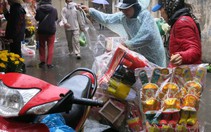 Cá chép cúng ông Táo rẻ bèo, còn 5.000 đồng/con