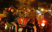 Sài Gòn đã bắt đầu những đêm sắm tết