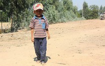 ​Hạn, mặn bủa vây đồng bằng sông Cửu Long