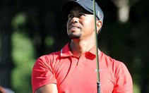 Vì sao Tiger Woods tuột dốc không phanh?