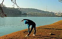 Sỏi mật, đâu cứ phải đau là mổ