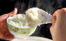Cục An toàn thực phẩm chưa tìm thấy gạo giả