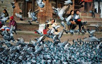 Triển lãm ảnh ủng hộ nạn nhân động đất Nepal