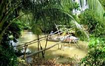 ​Cần Thơ phát triển du lịch sinh thái miệt vườn ở Phong Điền