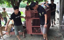 Giao 4 gấu ngựa cho Trung tâm cứu hộ gấu tại Tam Đảo