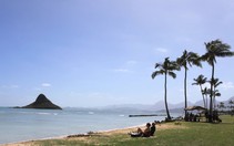 Hawaii ký sự: Oahu - tắm mình trên những dòng xanh