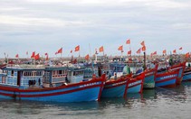 ​Đà Nẵng di dời tàu cá neo đậu dọc bờ sông Hàn
