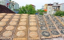 Ghé Bắc Giang nhớ ăn bánh đa làng Kế