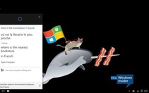 Trợ lý ảo Microsoft Cortana đã hỗ trợ tiếng Việt