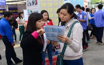 Bạn trẻ tránh bị lừa khi xin việc mùa tết