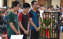 Nhóm cắt trộm dây tiêu của nông dân lãnh án
