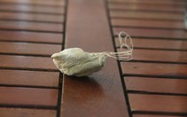 Một thiếu niên đưa cước câu cá vào niệu đạo