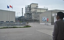 TPP và Xơ sợi Đình Vũ