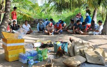 Công an nổ súng phá trường gà, bắt giữ 21 người