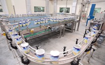Vinamilk mở rộng vùng nguyên liệu sang Lào