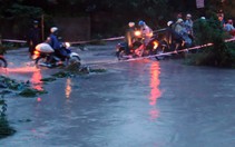Đi nước ngoài học tập kinh nghiệm rồi... nghỉ hưu!