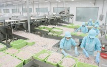 ​Ngành thủy sản đón nhận cơ hội từ Cộng đồng ASEAN