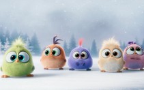 Angry Birds hát mừng Giáng sinh đáng yêu