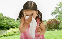 Bệnh thể tạng dị ứng dễ gây thiếu máu