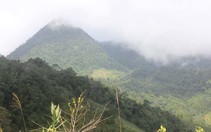 Chinh phục núi Cà Đam, đất của loài sâm bảy lá 
