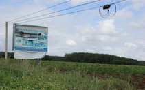 Bình Phước: nhiều sai phạm về quản lý đất, rừng