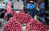 Người Trung Quốc dùng visa du lịch thao túng thị trường thanh long