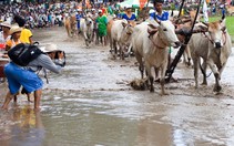 ​Công bố 15 di sản văn hoá phi vật thể quốc gia