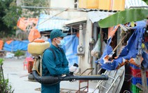 Bệnh liên cầu lợn, cúm,  viêm phổi...nguy cơ phát trong dịp tết