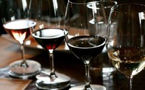 ​Italy là nước sản xuất và xuất khẩu rượu vang lớn nhất thế giới