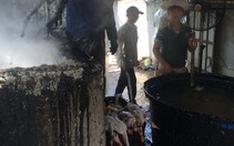 Phát hiện cơ sở nhổ lông gà, vịt bằng hóa chất