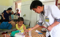 ​Cô giáo trùm bạt cứu 17 trẻ mầm non bị ong đốt