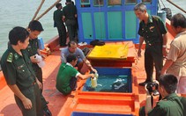 Bắt tàu cá chở 40.000 lít dầu không rõ nguồn gốc