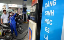Ngân sách thu 5 tỉ USD nếu thuế môi trường xăng 8.000 đồng/lít